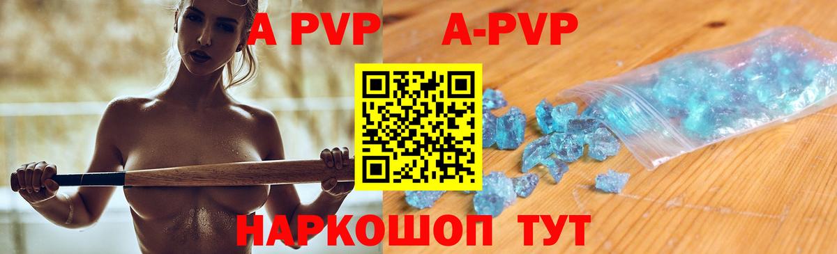 Alfa_PVP СК Выборг