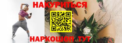 гашик Кингисепп