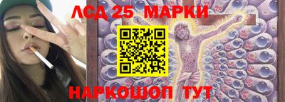 гашик Кингисепп