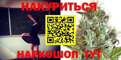 гашик Кингисепп