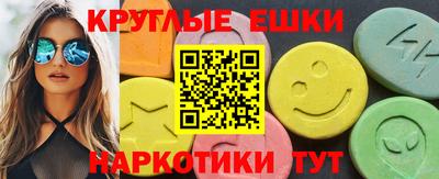 гашик Кингисепп