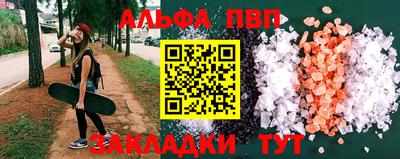 гашик Кингисепп