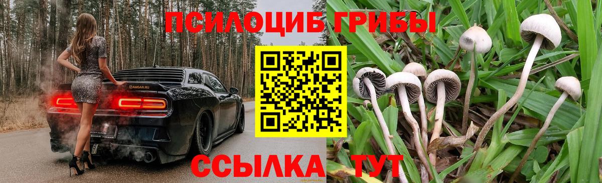 Псилоцибиновые грибы прущие грибы Выборг