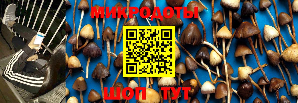 Псилоцибиновые грибы мухоморы  Вход с VPN  Галлюциногенные грибы ЛСД  Выборг 