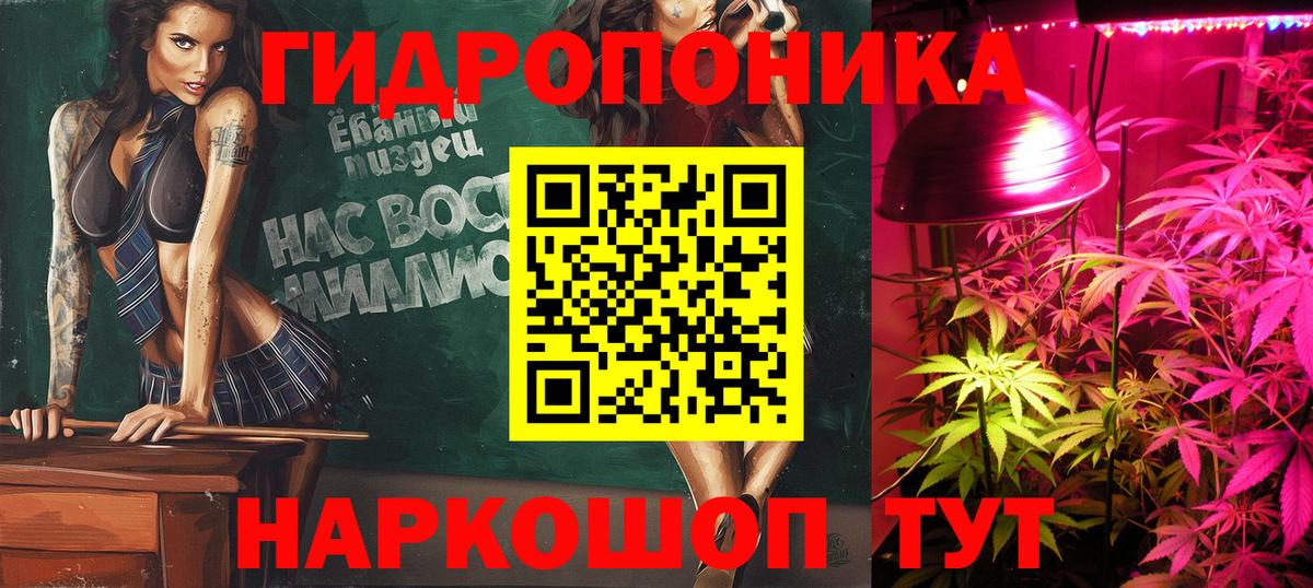 Шишки марихуана семена  Вход с VPN  Марихуана конопля  Выборг  Марихуана LSD WEED 